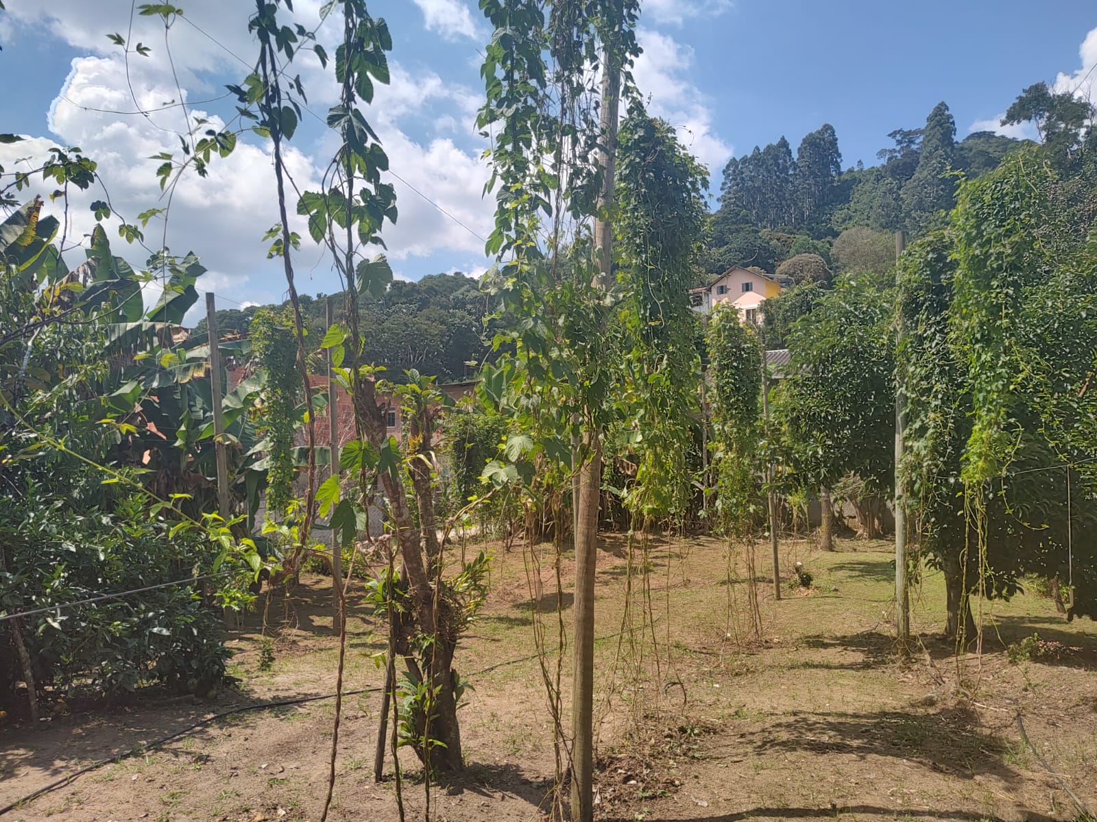 Nova Friburgo Brinda à Cultura Cervejeira: